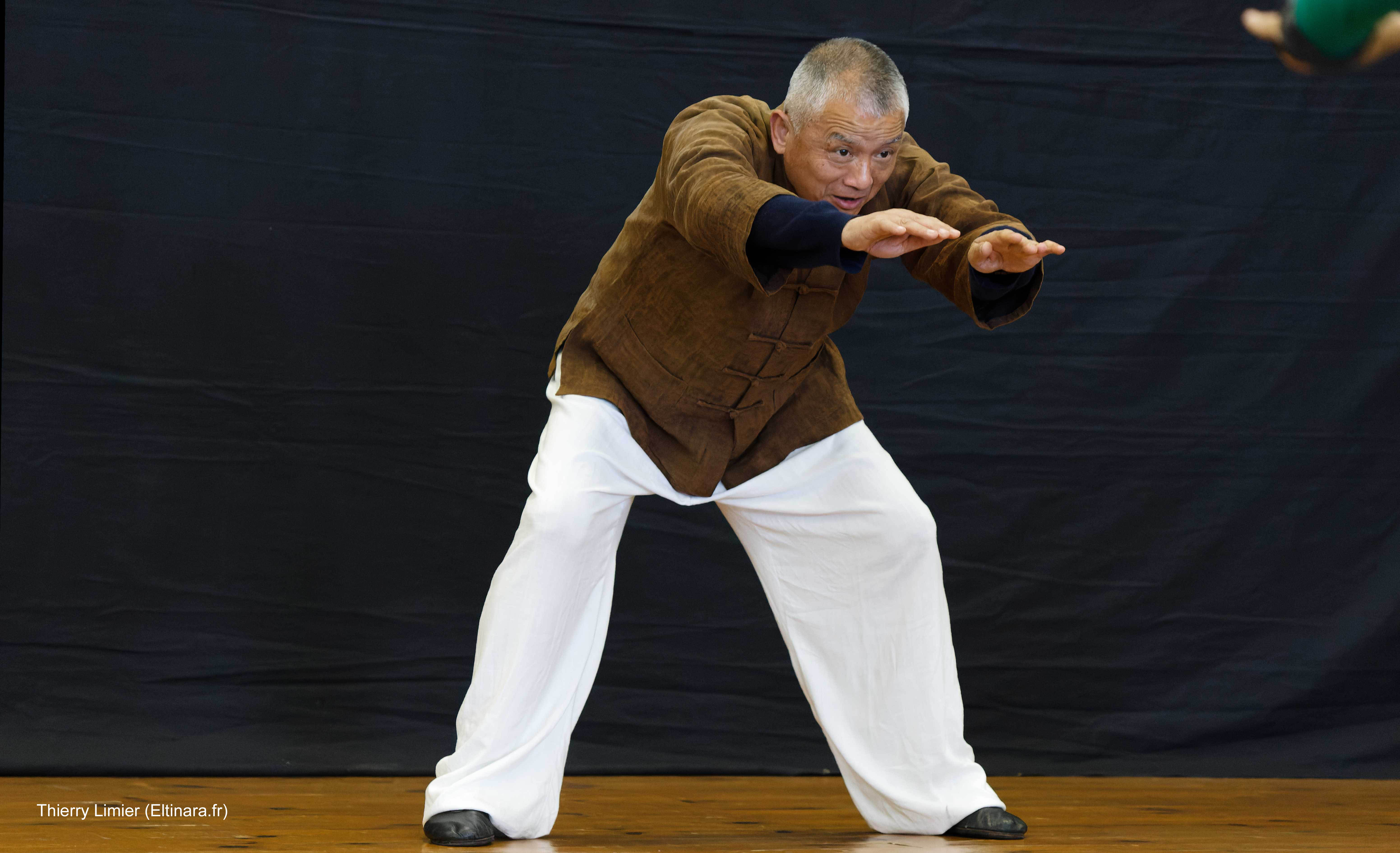 Du 26 au 31 Mars 2024 : Stages Qigong, Taichi, Méditation et Calligraphie avec Maître Wang