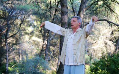 Stage d’été 2023 Qigong et Taichi avec Isidoro Li Pira